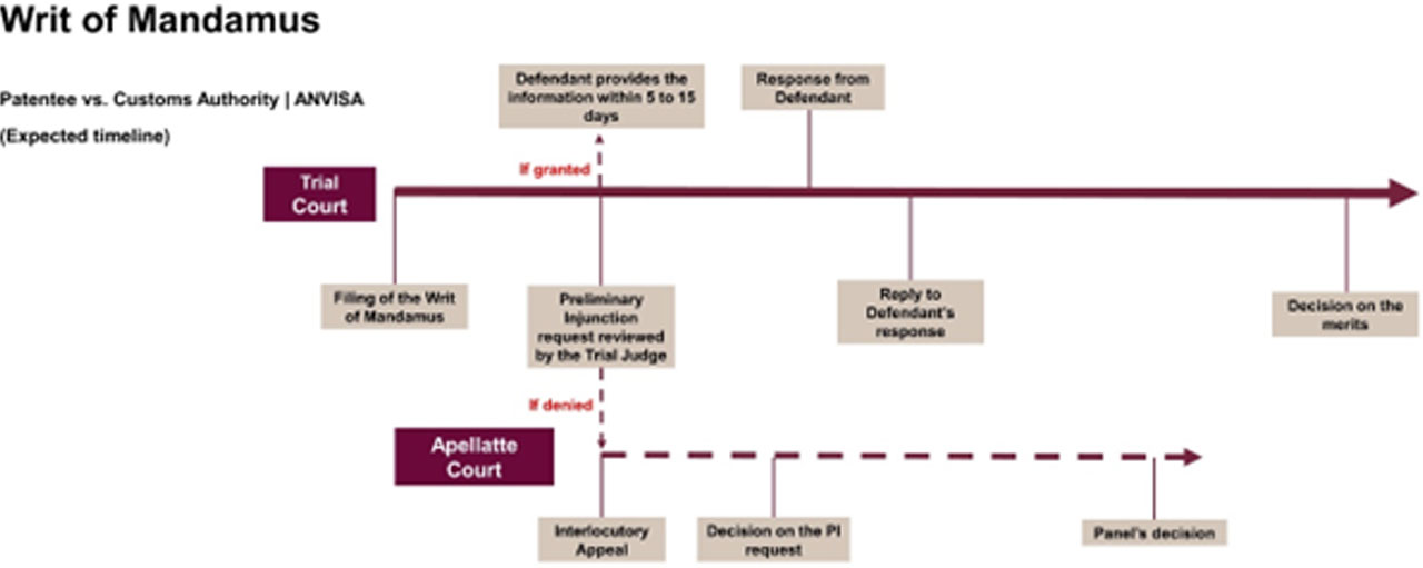 brazil_navigating_patenting_challenges_image_1